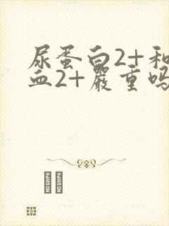 尿蛋白2+和隐血2+严重吗