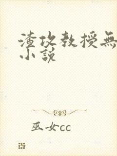 渣攻教授无删减小说