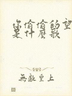 你偷偷的望着我是什么歌