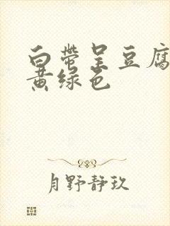 白带呈豆腐渣状黄绿色