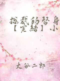 总裁的替身前妻【完结】小说