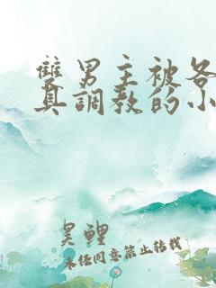 双男主被各种道具调教的小说