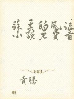 苏柔的风流人生小说免费看