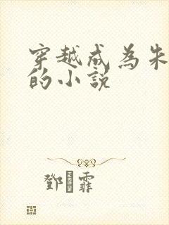 穿越成为朱慈r的小说