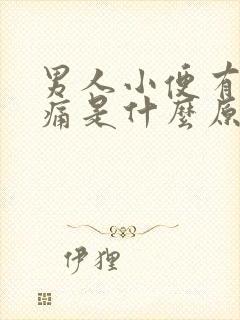 男人小便有点刺痛是什么原因引起的