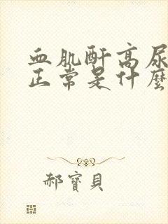 血肌酐高尿蛋白正常是什么原因