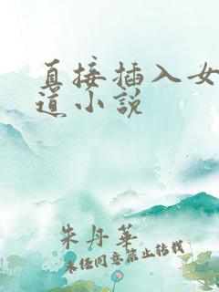 直接插入女子阴道小说