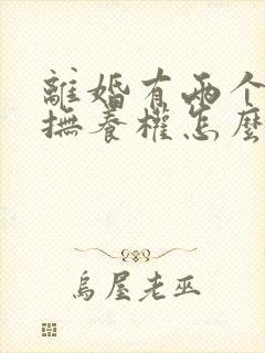 离婚有两个小孩抚养权怎么判定的