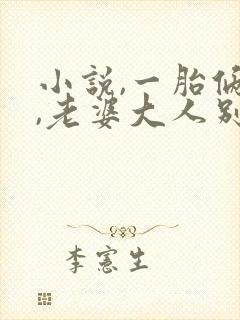 小说,一胎俩宝,老婆大人别想逃