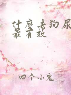 什么去狗尿骚味最有效