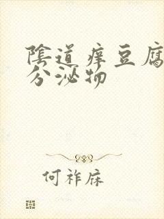 阴道痒豆腐渣样分泌物