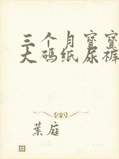 三个月宝宝用多大码纸尿裤