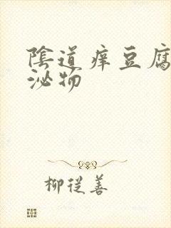 阴道痒豆腐渣分泌物