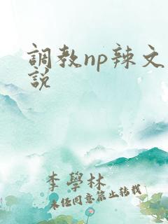 调教np辣文小说