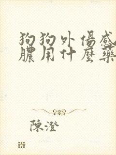 狗狗外伤感染化脓用什么药