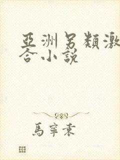 亚洲另类激情综合小说