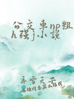 公交车np粗暴h强j小说