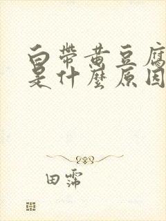 白带黄豆腐渣状是什么原因造成的