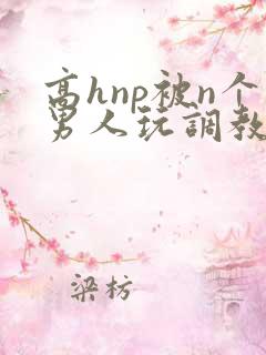 高hnp被n个男人玩调教