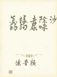 怎样去除沙发上的狗尿味