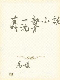 有一部小说主角叫沈青