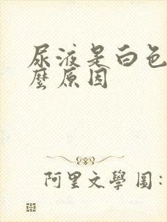 尿液是白色是什么原因