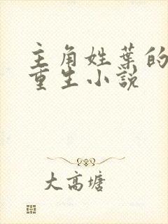 主角姓叶的末世重生小说