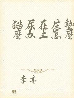 猫尿在床垫上怎么办上怎么除味