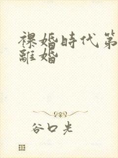 裸婚时代第几集离婚