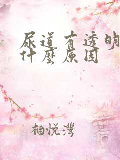 尿道有透明液体什么原因