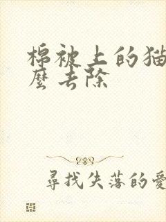 棉被上的猫尿怎么去除