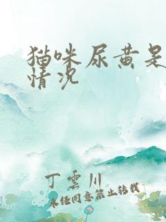 猫咪尿黄是什么情况