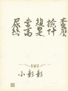 尿常规检查粘液丝高是什么意思