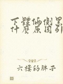 下体俩侧黑色是什么原因引起的