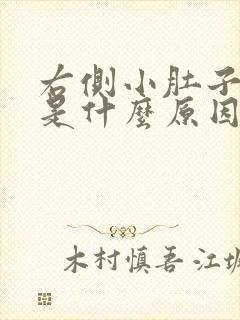 右侧小肚子胀疼是什么原因