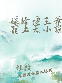 嫁给傻王爷后被宠上天小说阅读