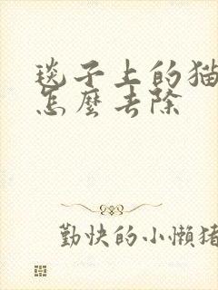 毯子上的猫尿味怎么去除