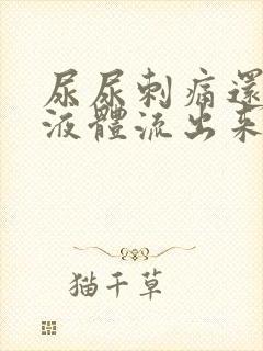 尿尿刺痛还有黄液体流出来怎么回事