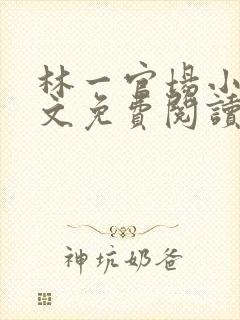 林一官场小说全文免费阅读