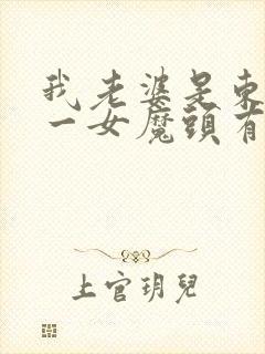 我老婆是东晋第一女魔头有声小说