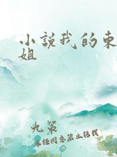 小说我的东莞姐姐