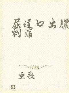 尿道口出脓小便刺痛