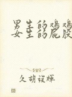 男生的鸡鸡插进女生的屁股里