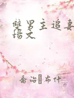 双男主追妻火葬场文