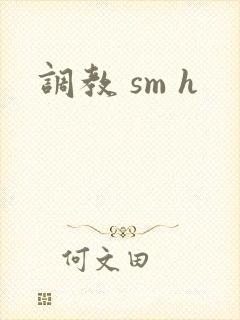 调教 sm h