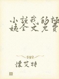 小说我的极品小姨全文免费阅读