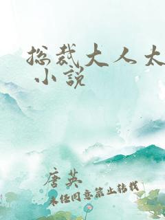 总裁大人太凶猛 小说