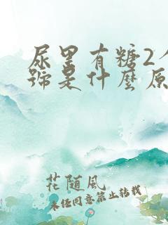 尿里有糖2个加号是什么原因