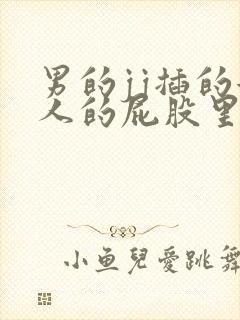 男的jj插的女人的屁股里视频