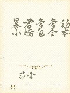 暴君爹爹的团宠小娇包全本阅读